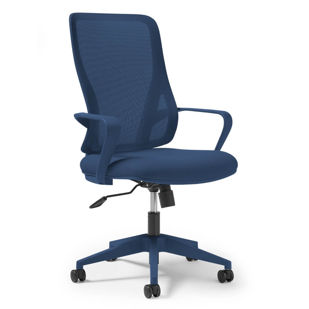 Eva Mesh Back Task Chair