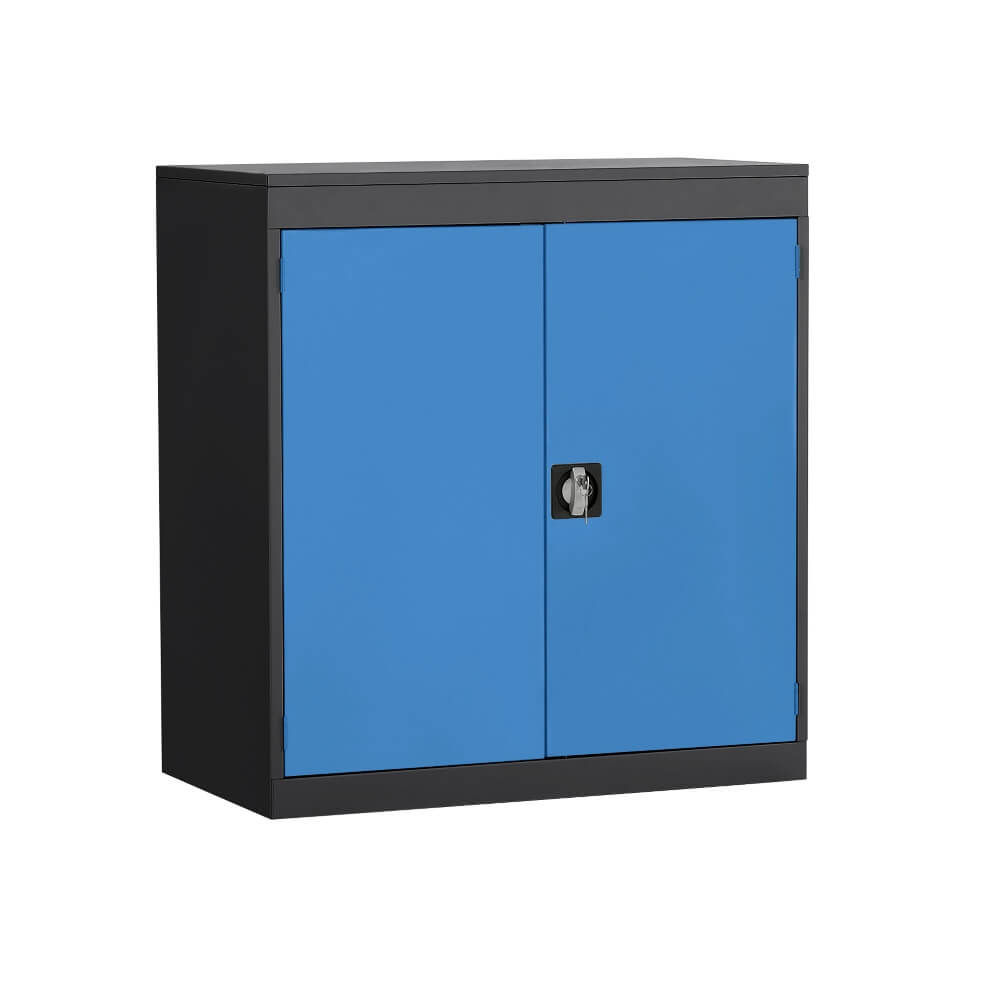 Half Height Cupboard with Black Body