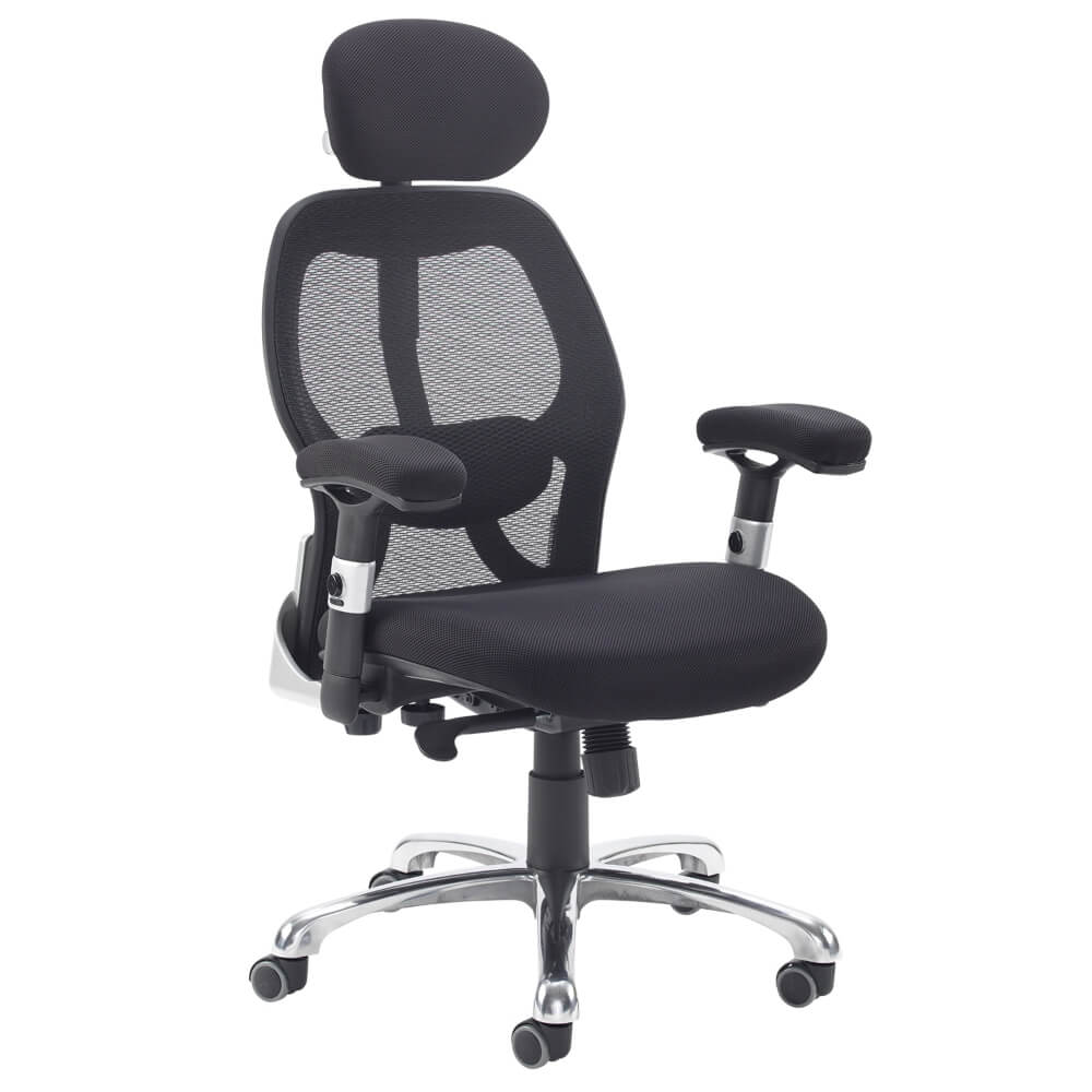 Sandro Mesh Back Executive Chair