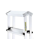 Aluminium Pro Double Sided Access Ladder