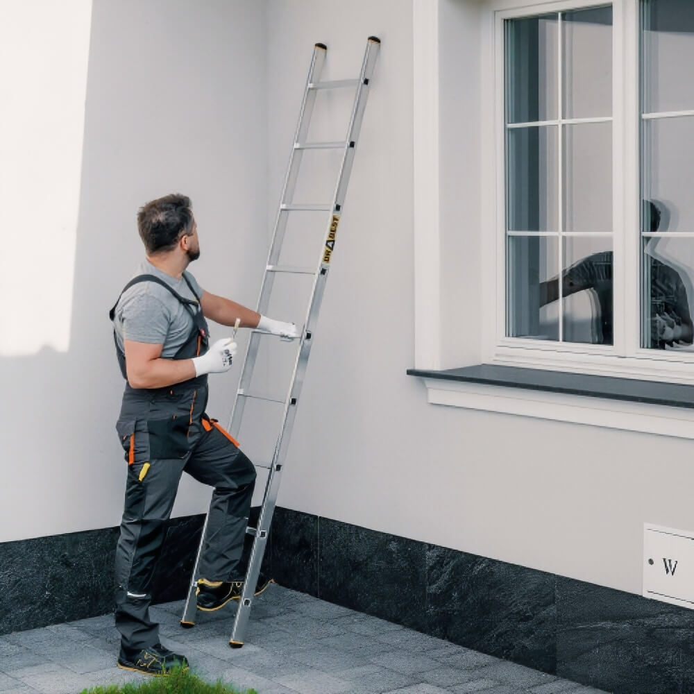 Aluminium Pro Single Section Ladder