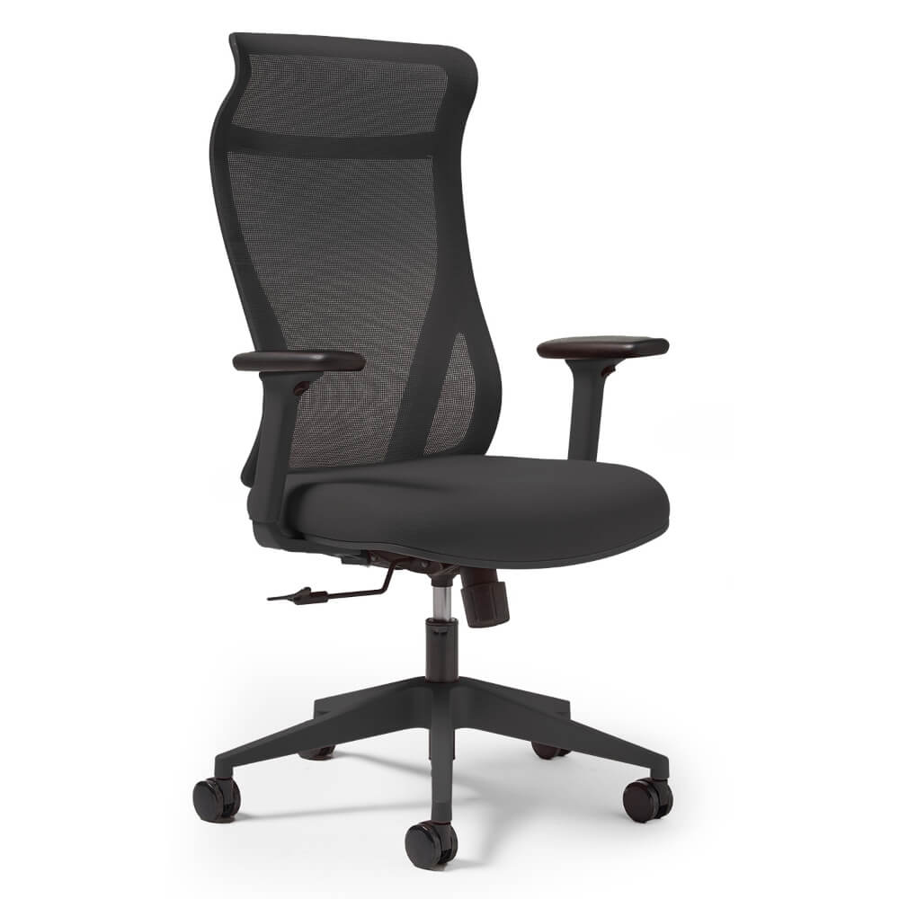 Dione High Back Mesh Task Chair