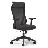 Dione High Back Mesh Task Chair