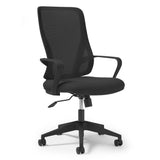 Eva Mesh Back Task Chair