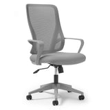 Eva Mesh Back Task Chair