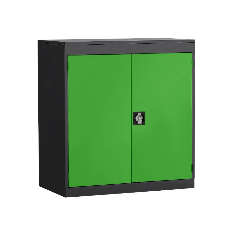 Half Height Cupboard with Black Body