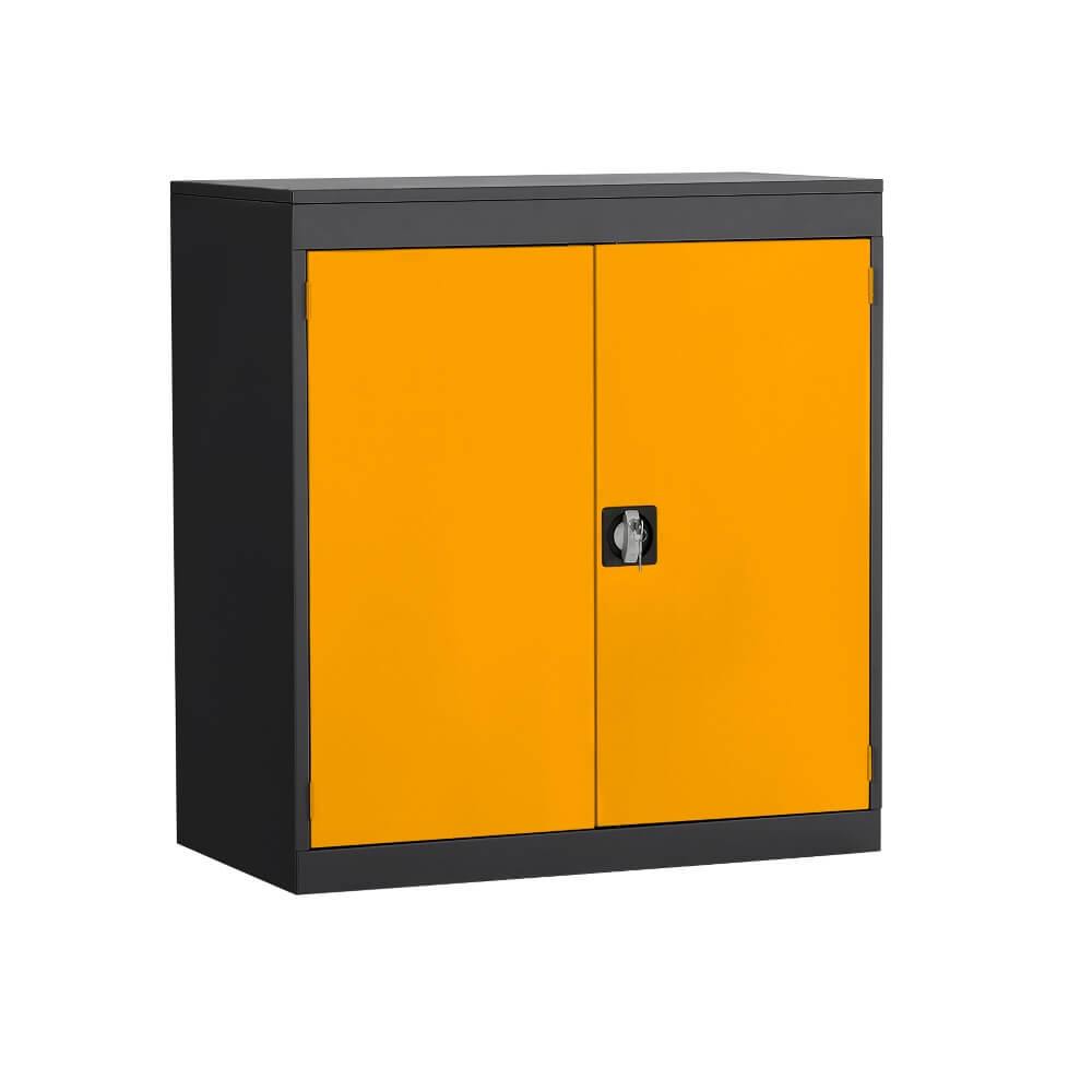 Half Height Cupboard with Black Body