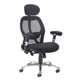 Sandro Mesh Back Executive Chair