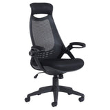 Tuscan High Back Mesh Chair with Head Support