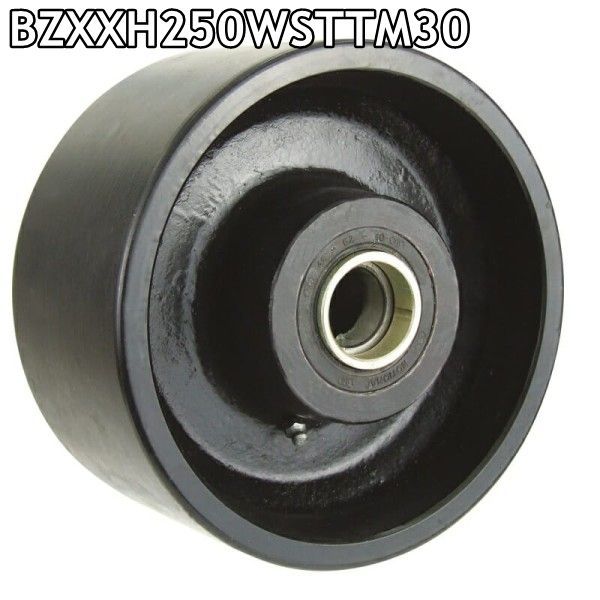 BZXXH250WSTTM30 steel wheel