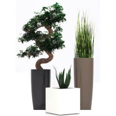 Decorative Artificial Office Plants