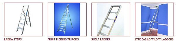 specialist ladders
