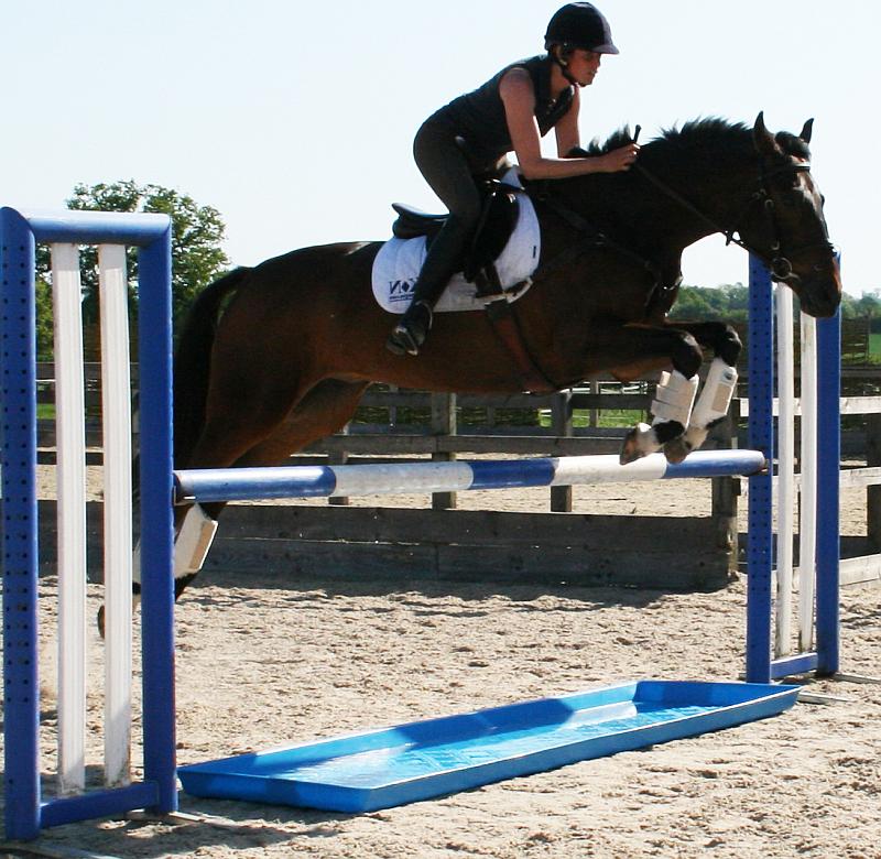 WT4 water tray horse jump 800