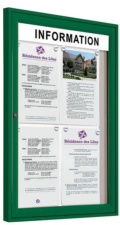 traditional outdoor information display case