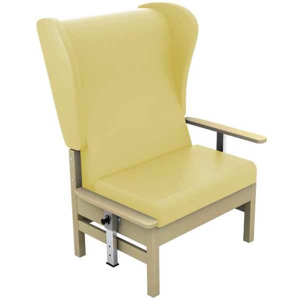 Atlas Bariatric Arm Chair sf SUN CHA56DAVYL Beige 600x600